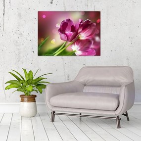 Obraz na szkle - różowe tulipany (70x50 cm)