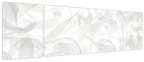 Obraz - Płatki (170x50 cm)