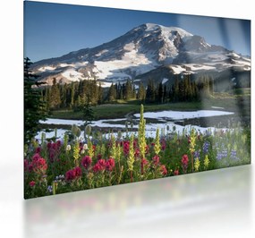 Obraz na szkle - Mount Rainier (70x50 cm)