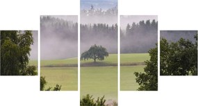 Obraz łąki z drzewem (125x70 cm)