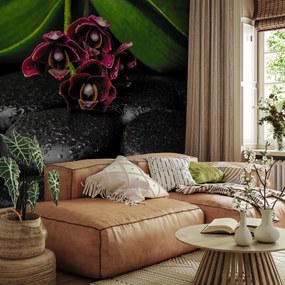 Fototapeta - Orchidea i kamienie (196x136 cm)