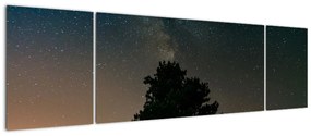 Obraz nocnego nieba z drzewami (170x50 cm)