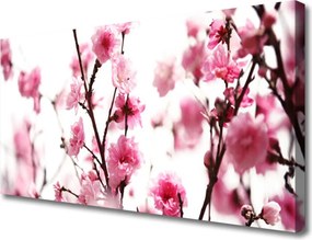 Obraz na płótnie Kwitnące Gałązki o Poranku