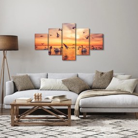 Obraz - Łabędzie (125x70 cm)