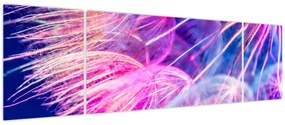 Obraz - Makro (170x50 cm)