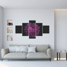 Obraz fioletowego kwiatu (125x70 cm)