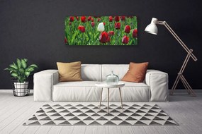 Obraz Canvas Tulipany Kwiaty Natura