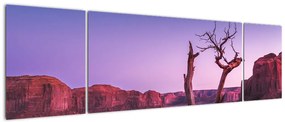 Obraz drzewa w pobliżu czerwonych skał (170x50 cm)