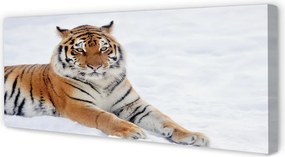 Fotoobraz na płótnie Tygrys w Zimowej Scenerii