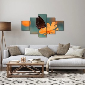 Obraz - motyl na pomarańczowym kwiatku (125x70 cm)