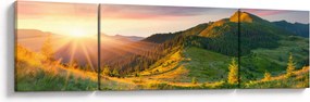 Obraz - Letni krajobraz (170x50 cm)