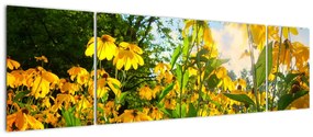 Obraz żółtych kwiatów (170x50 cm)