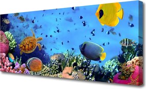 Obraz canvas Podwodny Świat Rafy Koralowej