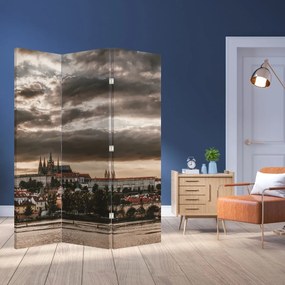 Parawan - Praski Zamek w szarości (126x170 cm)