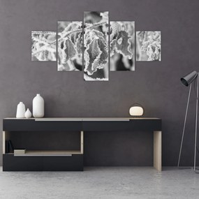 Obraz - Zmarznięte liście, czarno - biały (125x70 cm)