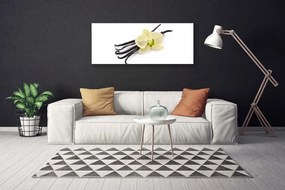 Obraz canvas Subtelny Rozkwit Natury