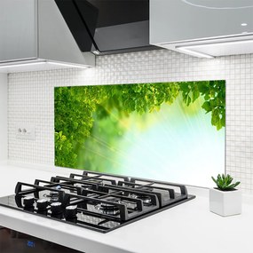 Panel Szklany Botaniczny Detal Liści