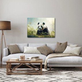 Obraz - Panda (70x50 cm)