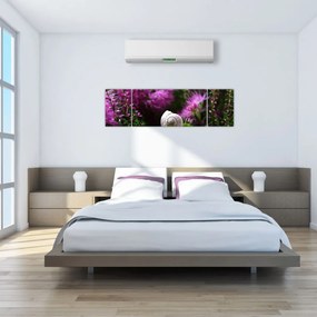 Obraz - Muszla ślimaka (170x50 cm)