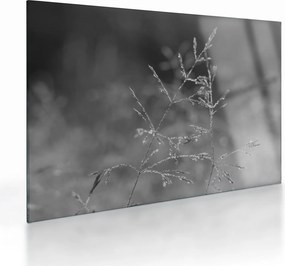Obraz na szkle - Wiejska łąka (70x50 cm)