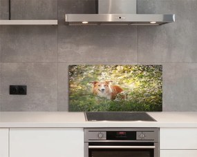 Szkło Ozdobne do Kuchni Pies wśród Leśnych Kwiatów