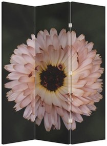 Parawan - Pomarańczowy kwiat (126x170 cm)