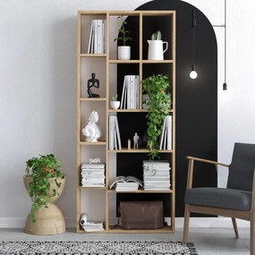 Biblioteczka Demios