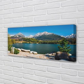 Obraz drukowany na płótnie Góry i Jezioro