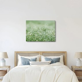 Obraz - Poranna rosa na źdźbłach trawy (70x50 cm)