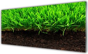 Szkło Ozdobne do Kuchni Świeża Trawa O Poranku