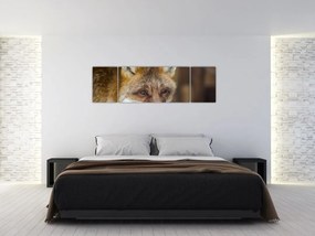 Obraz lisa (170x50 cm)