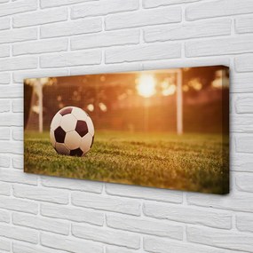 Obraz na płótnie Decydujący Strzał Na Bramkę