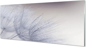 Panel nad Blat Kuchenny Dmuchawce w Porannej Rosie