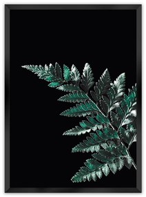 Plakat Dark Fern Leaf