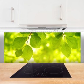 Panel Kuchenny Zielone Liście W Stylu Modern