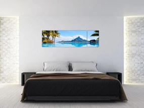 Obraz - Palmy i plaże (170x50 cm)