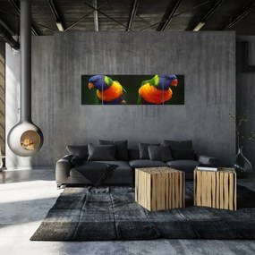 Obraz papug (170x50 cm)