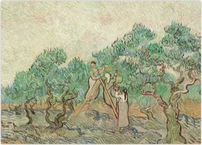 Obraz na szkle - Vincent van Gogh, The Olive Orchard, reprodukcje (70x50 cm)