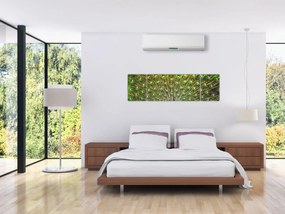 Obraz - Paw (170x50 cm)