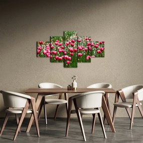 Obraz tulipanów (125x70 cm)
