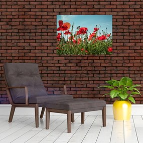 Obraz na szkle - Na polu maków (70x50 cm)