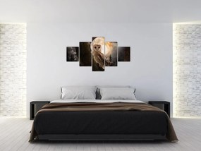 Obraz sowy palonej (125x70 cm)