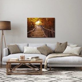 Obraz - Schody w naturze jesienią (70x50 cm)