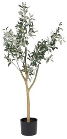 Sztuczne drzewko oliwne (wysokość 112 cm) Olive Tree – Ixia