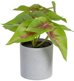Sztuczna roślina (wysokość 20 cm) Syngonium – Ixia