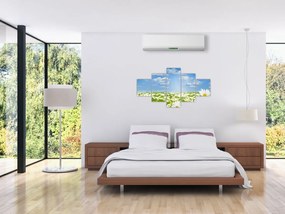 Obraz kwitnącej łąki ze stokrotkami (125x70 cm)