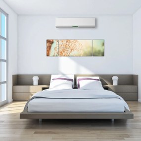 Obraz - Rośliny po deszczu (170x50 cm)