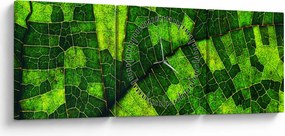 Obraz - Detal liścia (z zegarem) (90x30 cm)