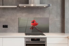 Panel szklany do Kuchni Czerwona Ara w Gęstwinie