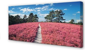 Obraz canvas na ścianę Pole Wrzosów i Las